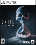 Until Dawn